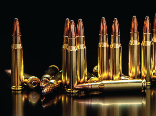 Ammunition - Shop Now